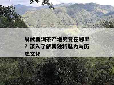 易武普洱茶产地究竟在哪里？深入熟悉其特别魅力与历史文化