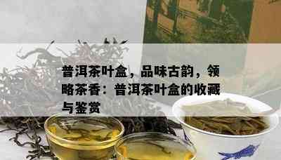 普洱茶叶盒，品味古韵，领略茶香：普洱茶叶盒的收藏与鉴赏