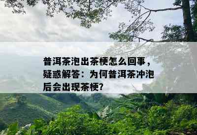 普洱茶泡出茶梗怎么回事，疑惑解答：为何普洱茶冲泡后会出现茶梗？