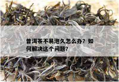 普洱茶不易泡久怎么办？如何解决这个问题？