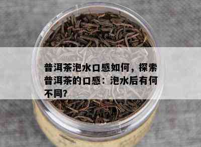 普洱茶泡水口感怎样，探索普洱茶的口感：泡水后有何不同？