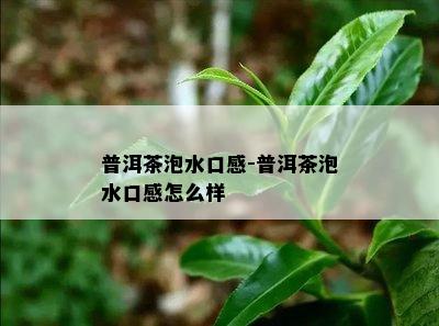 普洱茶泡水口感-普洱茶泡水口感怎么样