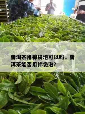 普洱茶用棉袋泡可以吗，普洱茶能否用棉袋泡？