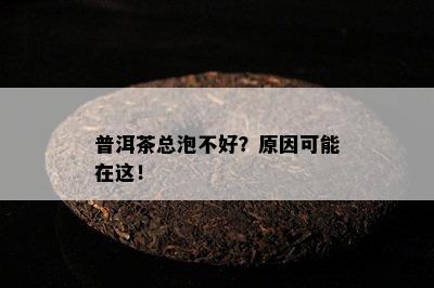 普洱茶总泡不好？原因可能在这！