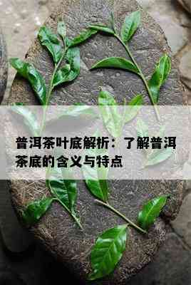 普洱茶叶底解析：熟悉普洱茶底的含义与特点