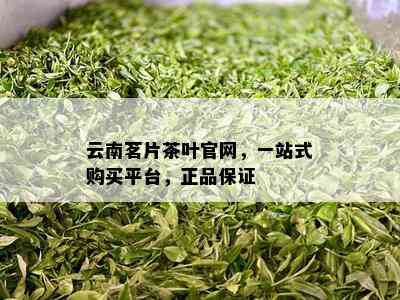 云南茗片茶叶官网，一站式购买平台，正品保证