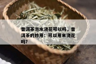 普洱茶泡水浇花可以吗，普洱茶的妙用：可以用来浇花吗？