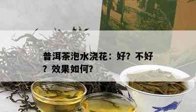 普洱茶泡水浇花：好？不好？效果怎样？