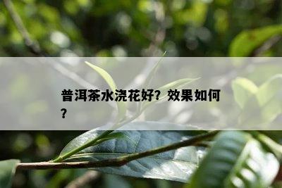 普洱茶水浇花好？效果怎样？