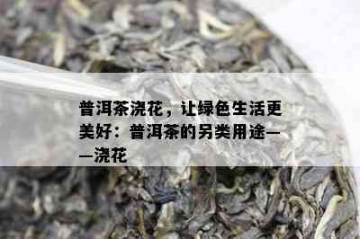 普洱茶浇花，让绿色生活更美好：普洱茶的另类用途——浇花