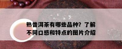 熟普洱茶有哪些品种？熟悉不同口感和特点的图片介绍