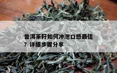 普洱茶籽如何冲泡口感更佳？详细步骤分享