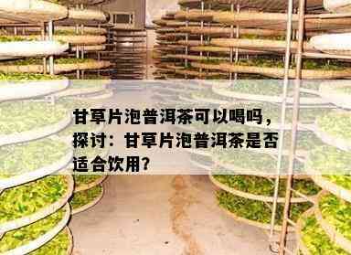 甘草片泡普洱茶可以喝吗，探讨：甘草片泡普洱茶是否适合饮用？