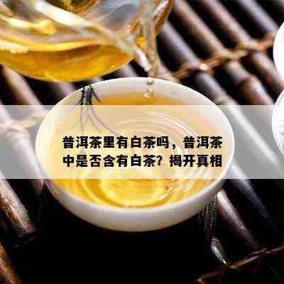 普洱茶里有白茶吗，普洱茶中是不是含有白茶？揭开真相