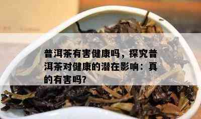 普洱茶有害健康吗，探究普洱茶对健康的潜在作用：真的有害吗？