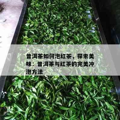 普洱茶怎样泡红茶，探索美味：普洱茶与红茶的完美冲泡方法