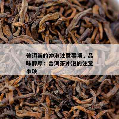 普洱茶的冲泡留意事项，品味醇厚：普洱茶冲泡的留意事项