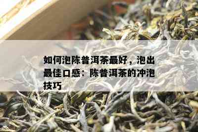 如何泡陈普洱茶更好，泡出更佳口感：陈普洱茶的冲泡技巧