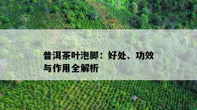 普洱茶叶泡脚：好处、功效与作用全解析