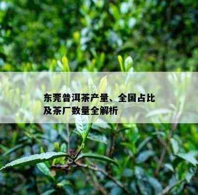 东莞普洱茶产量、全国占比及茶厂数量全解析