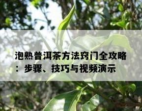 泡熟普洱茶方法窍门全攻略：步骤、技巧与视频演示