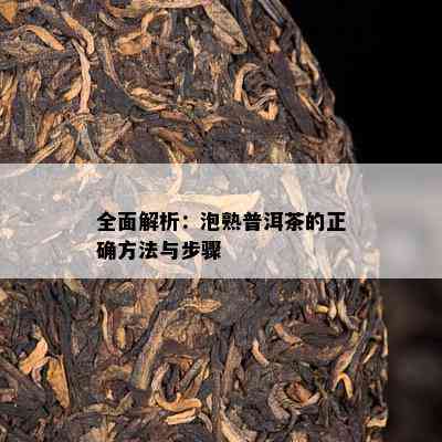 全面解析：泡熟普洱茶的正确方法与步骤