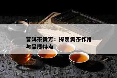 普洱茶黄芳：探索黄茶作用与品质特点