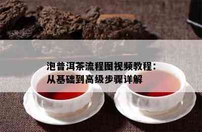 泡普洱茶流程图视频教程：从基础到高级步骤详解