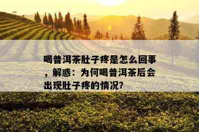 喝普洱茶肚子疼是怎么回事，解惑：为何喝普洱茶后会出现肚子疼的情况？