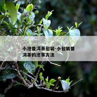 小泡普洱茶包装-小包装普洱茶的泡茶方法