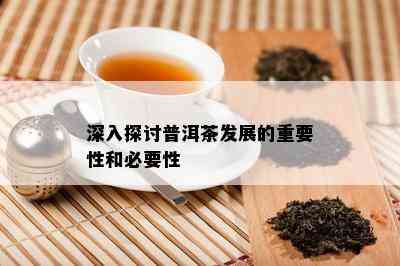 深入探讨普洱茶发展的关键性和必要性