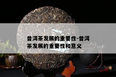 普洱茶发展的关键性-普洱茶发展的关键性和意义