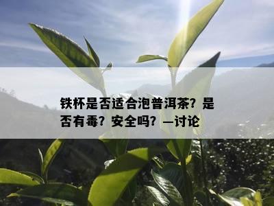 铁杯是不是适合泡普洱茶？是不是有？安全吗？—讨论