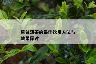 黑普洱茶的更佳饮用方法与效果探讨