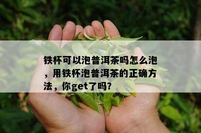 铁杯可以泡普洱茶吗怎么泡，用铁杯泡普洱茶的正确方法，你get了吗？