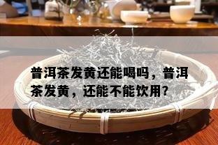 普洱茶发黄还能喝吗，普洱茶发黄，还能不能饮用？