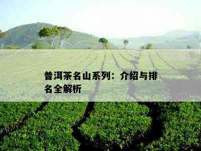 普洱茶名山系列：介绍与排名全解析