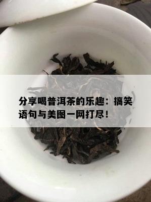 分享喝普洱茶的乐趣：搞笑语句与美图一网打尽！