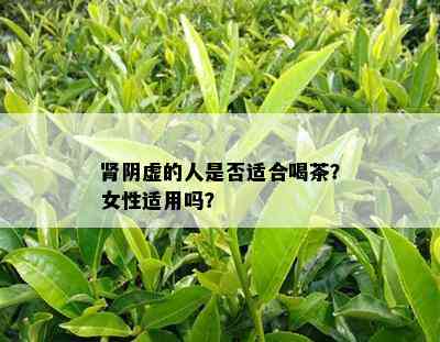 肾阴虚的人是否适合喝茶？女性适用吗？