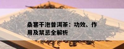 桑葚干泡普洱茶：功效、作用及禁忌全解析