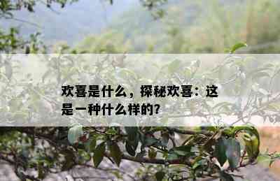 欢喜是什么，探秘欢喜：这是一种什么样的？