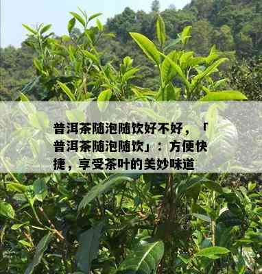 普洱茶随泡随饮好不好，「普洱茶随泡随饮」：方便快捷，享受茶叶的美妙味道