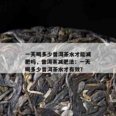 一天喝多少普洱茶水才能减肥吗，普洱茶减肥法：一天喝多少普洱茶水才有效？