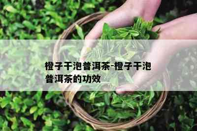 橙子干泡普洱茶-橙子干泡普洱茶的功效