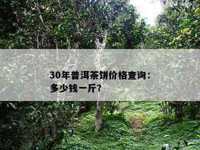 30年普洱茶饼价格查询：多少钱一斤？