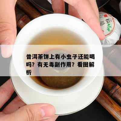 普洱茶饼上有小虫子还能喝吗？有无副作用？看图解析