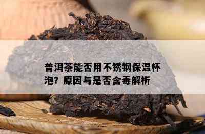 普洱茶能否用不锈钢保温杯泡？起因与是不是含解析