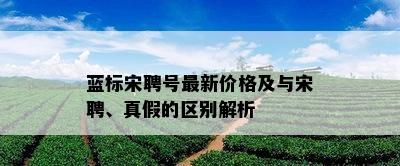 蓝标宋聘号最新价格及与宋聘、真假的区别解析