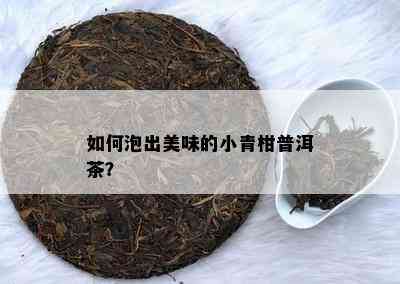 如何泡出美味的小青柑普洱茶？