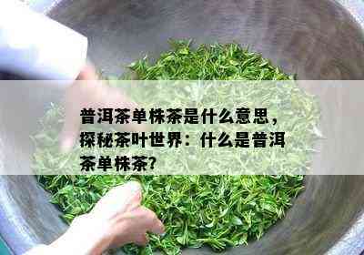 普洱茶单株茶是什么意思，探秘茶叶世界：什么是普洱茶单株茶？